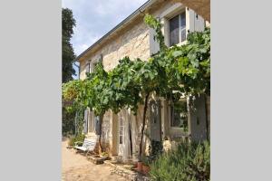 Ferienhaus Villa Alisia, wunderschönes Natursteinhaus bei Poreč, Istrien, Kroatien