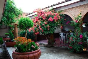 Villa Flores, casa en el centro de Mascota - La Mesa
