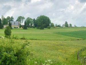 Les Caliciades 1 à Gros-Fays