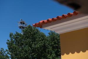 Quinta Salinas - Puro Prazer