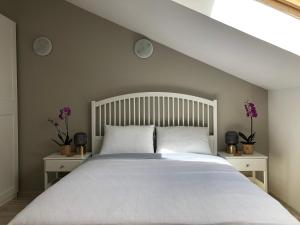 Dream Catcher Retreat