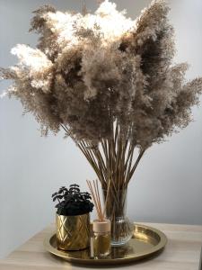 Dream Catcher Retreat