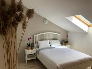 Dream Catcher Retreat