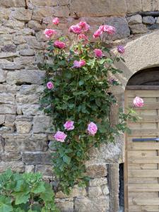 Maisons de vacances Charmante maison calme et agreable Lunel : photos des chambres