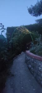 Cortijo de las flores Cazorla