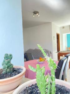 Apartment Marta