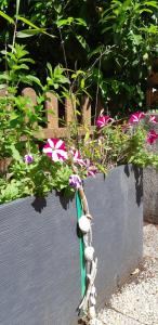 Appartements L'escale honfleuraise : photos des chambres