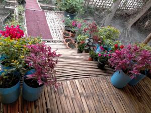 Risong Family Guest House