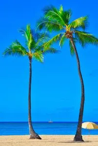 Gone 2 Florida Vacation Homes - Sheraton Lakeside Inn Heliport