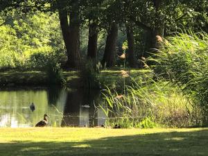 Maisons d'hotes LA MAISON D INES & Spa - : photos des chambres