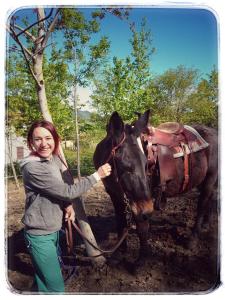 Bed and Breakfast Balli coi Lupi