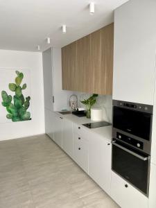 Caсtus Apartments 1