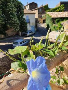 LExquishette de Lourmarin, un nid sur les toits.