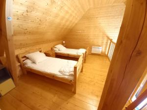 Chalet Sancy