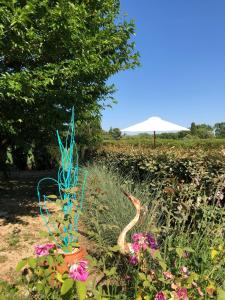 Maisons de vacances Le Gres 313 : photos des chambres