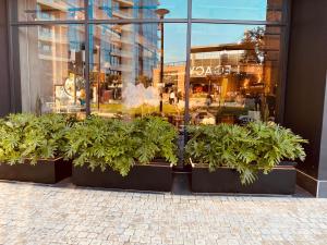 Umhlanga Arch 10th Floor- Sea Views!