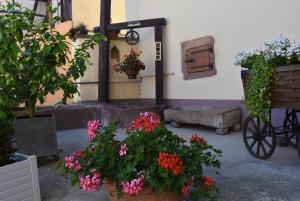 Maisons d'hotes L'Hadestal : photos des chambres