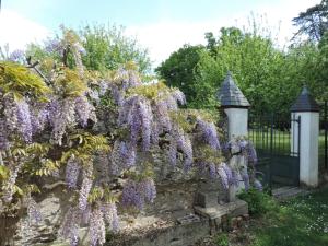 B&B / Chambres d'hotes Cedre et Charme : photos des chambres