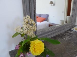 B&B / Chambres d'hotes Cedre et Charme : photos des chambres