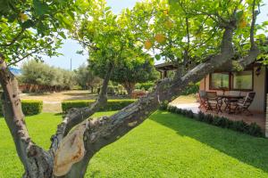 La Casa di Lina - Capo dOrlando, casa con ampio giardino