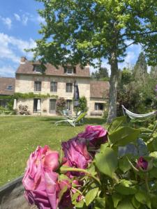 Maisons d'hotes La Maison d'Aline - Honfleur - Maison d'Hote De Charme A La Normande : photos des chambres