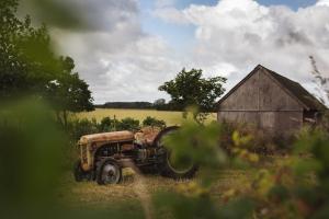 Dambækgaard Sustainable Farm