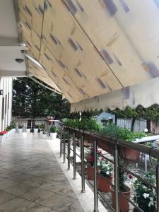 Guest House Il Palazzo