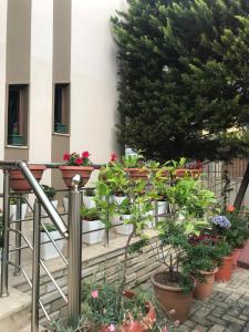 Guest House Il Palazzo