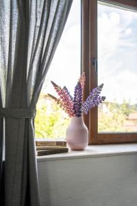 Къща До Гората Триград