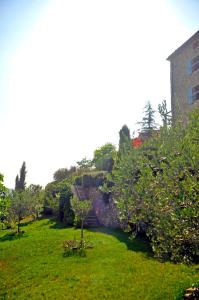 Ruine-Motovun KH