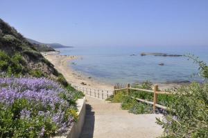 Appartamento residence Tartaruga 3 img33