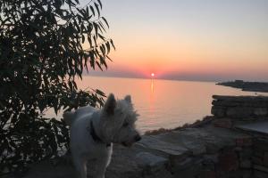 Sunset Villa with swimming pool at Tzia