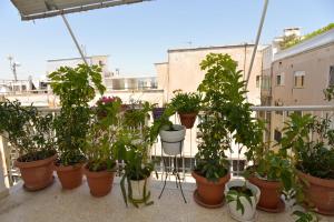 Athens Stylish top floor apartment Syntagma metro