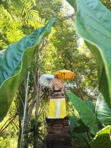 Paradise Garage Komodo Villa