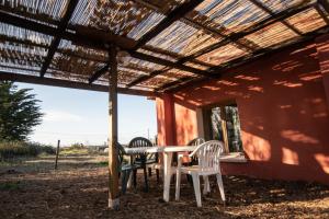 Maisons de vacances Le mas de l'Oasis* de la Pastissiere, un eco lieu en permaculture : photos des chambres