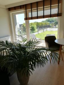 Apartament Gdynia z ogródkiem - Plaża 10 minut