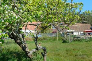 B&B / Chambres d'hotes La Chevrerie : photos des chambres