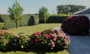 Maisons de vacances Maison de charme a Bangor avec grand jardin clos : photos des chambres