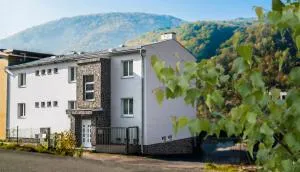 Penzion Malina - 赫龙河畔日亚尔