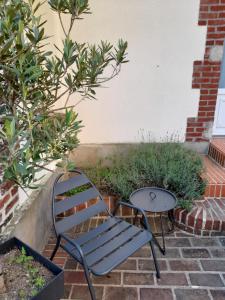 B&B / Chambres d'hotes Demeure de Manneville - SPA - 1Km des plages de Cabourg : photos des chambres