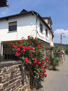 Altes Weingut Bröhl