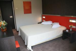 Double or Twin Room room in Hotel Des Roses