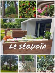 Appartements Le sequoia : photos des chambres