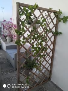 Appartamento con Terrazza