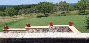 Domaine de Pech Marie photo 12