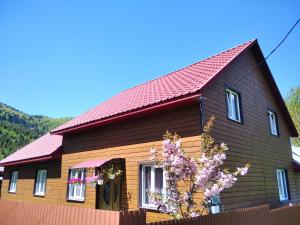 Відпочинок у Карпатах, мінеральні ванни, банний Чан!