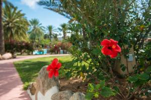 HL Miraflor Suites Hotel