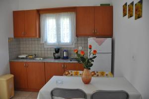 Vasiliki Comfort Apartments