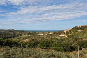 Toscana Mare/Collina Castagnaeto Carducci