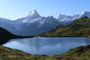 Ferienwohnung Hirschen